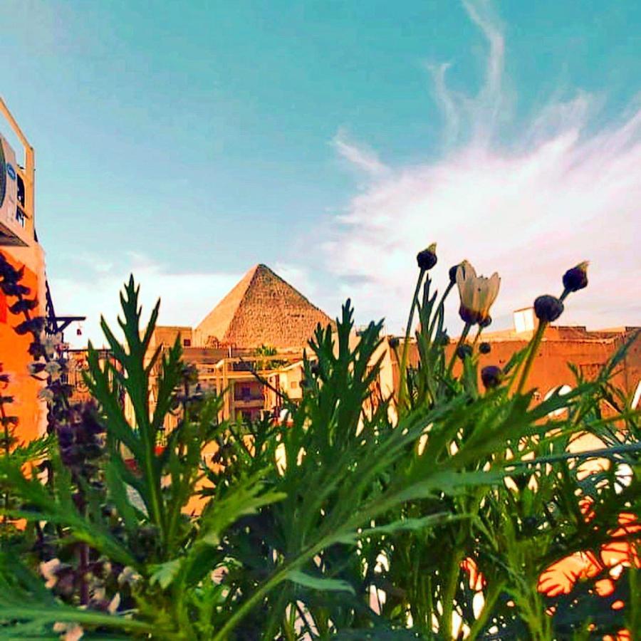 Carpet Alaadein Pyramids View Hotell Kafret el-Gabal Exteriör bild